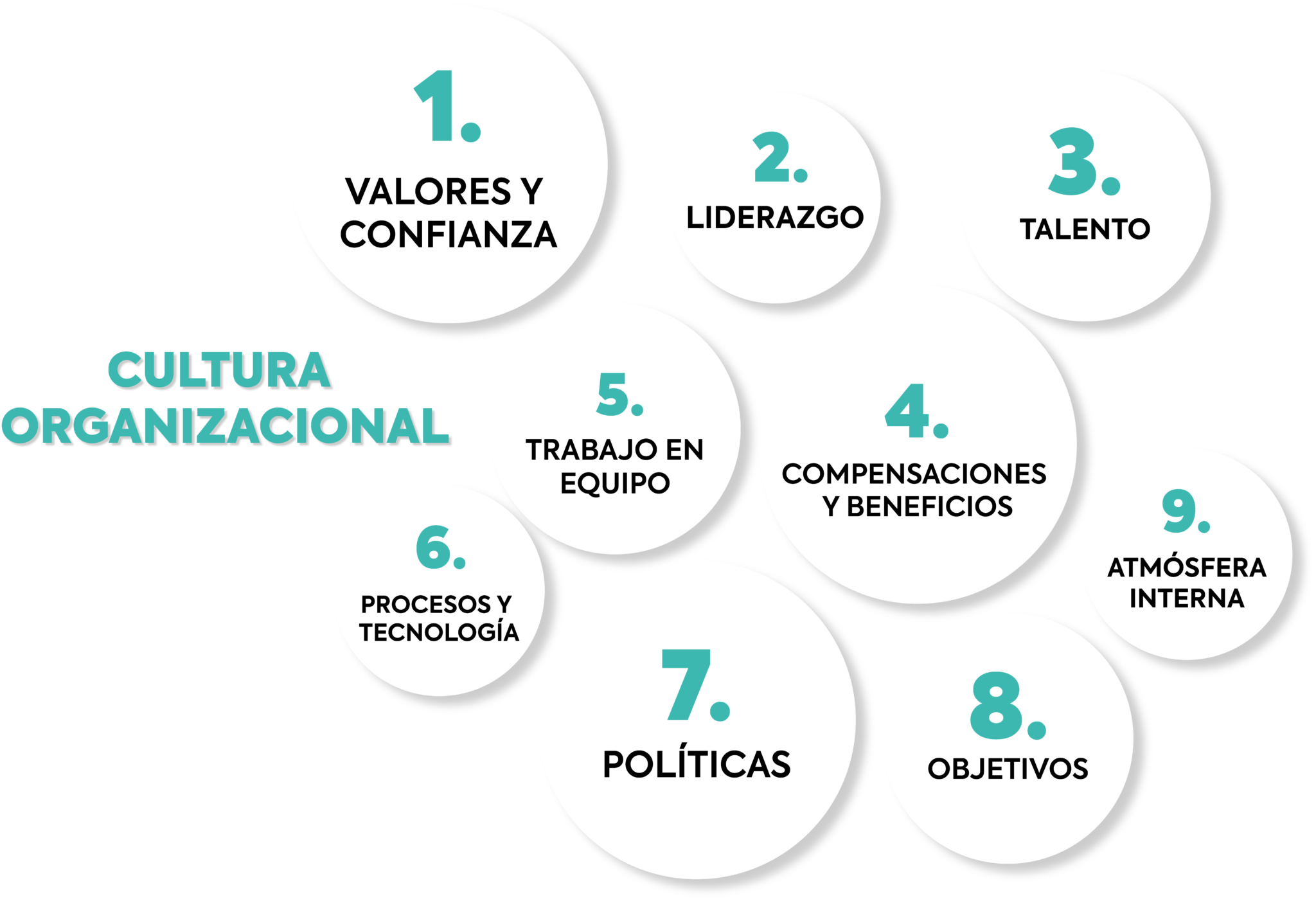 Cultura Organizacional – ECO